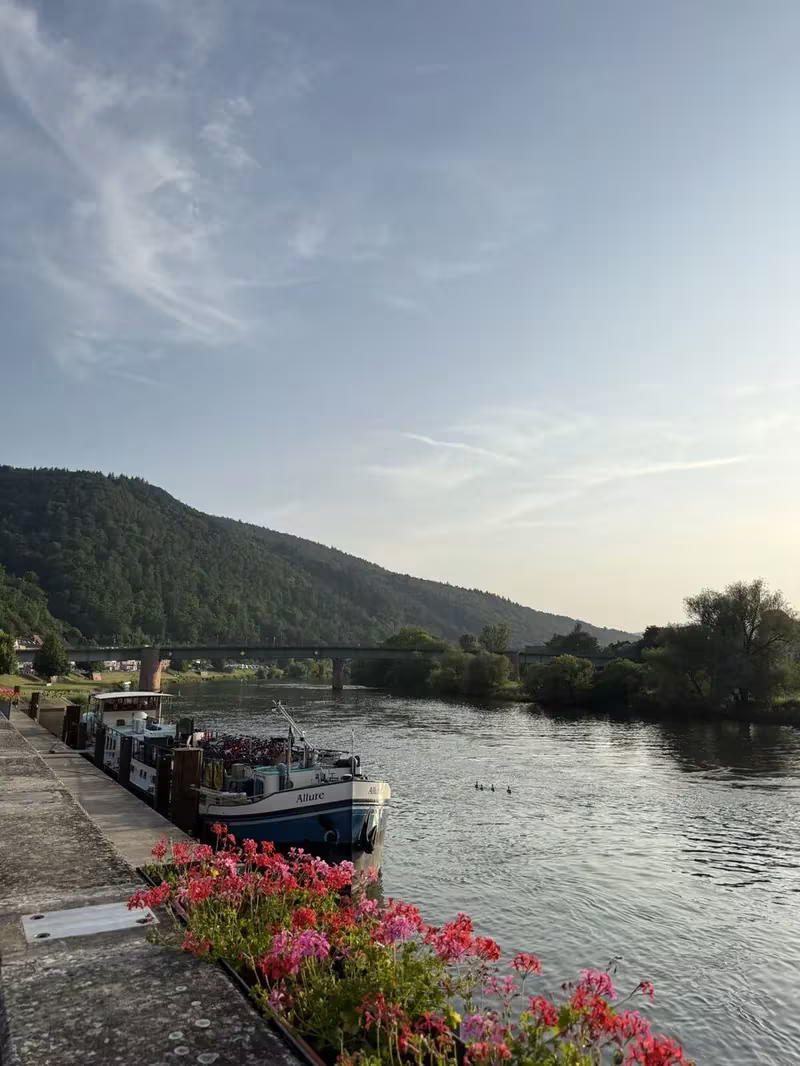Mainpromenade Freudenberg Abendstimmung