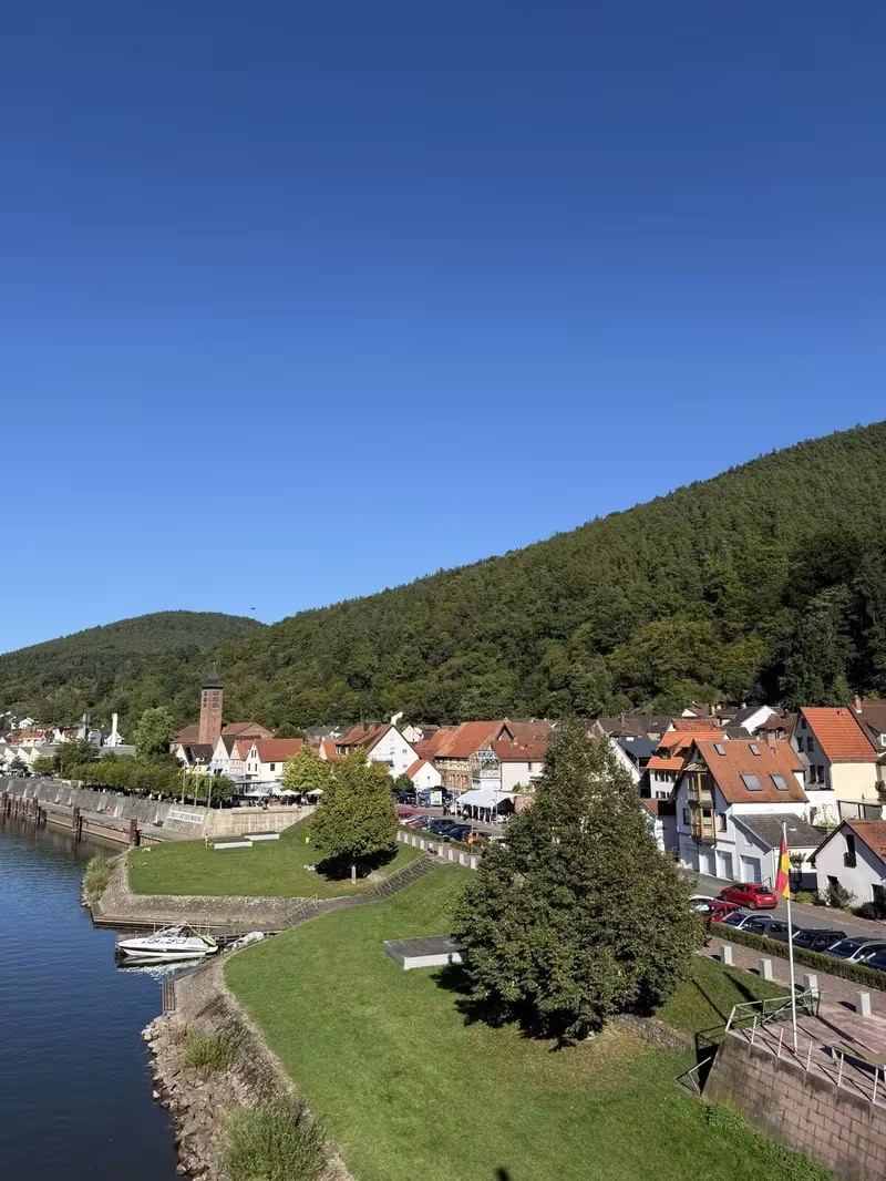 Freudenberg Stadtansicht vom Main